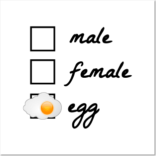 Male, female, egg! The egg became famous in 2019. Politically correct, gender-neutral design. Gift idea for nerds, geeks and reddit readers. Posters and Art